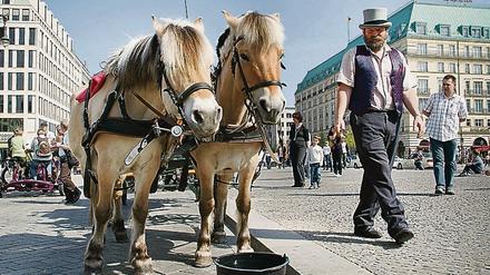Eine Pferdekutsche in Berlin-Mitte 