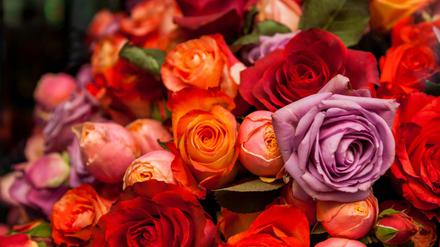 „Ich hasssse Rosen“: Blumenverkäufer Rudi war ein Berliner Marktschreier der alten Schule.