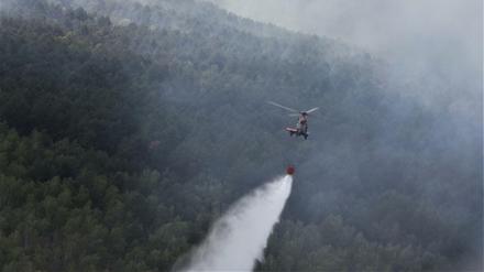 Ein Hubschrauber der Bundespolizei bei Löscharbeiten in einem Waldstück in der Lieberoser Heide.