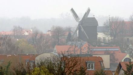 Windmühlenpanorama in Werder an der Havel. Brandenburg ist landschaftlich attraktiv - an politischer Teilhabe haben viele Bürger aber kein Interesse.
