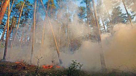Einsatzkräfte bekämpften das Großfeuer bei Jüterbog seit vergangenem Dienstag. Doch die Gefahr der Glutnester bleibt bestehen. 