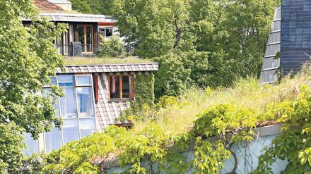 Grüne Dächer und Fassaden, Solarzellen, Dämmung – schön, aber teuer.