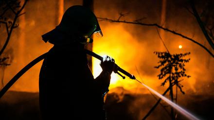 Seit Beginn der Saison gab es bereits fast 160 Waldbrände in Brandenburg.