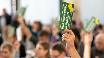 Eine Delegierter hält auf dem kleinen Parteitag der Bündnis 90/Die Grünen Brandenburg einen Stimmzettel in die Höhe.