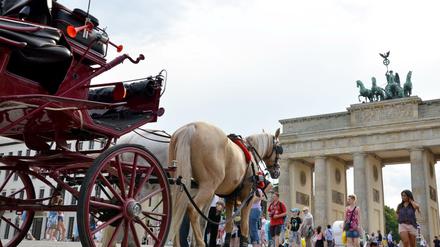 Die geplante rot-rot-grüne Koalition in Berlin will die bei Touristen beliebten Pferdekutschen aus der Innenstadt verbannen.