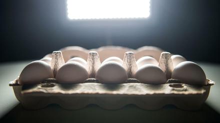 Auch in Berlin sind Fipronil-Eier aufgetaucht. Es sind noch elf weitere Bundesländer betroffen.