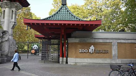 Der Berliner Zoo ist ein beliebtes Ausflugsziel. 