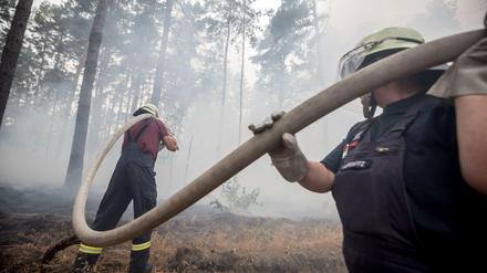 Feuerwehrmänner bekämpfen einen Waldbrand bei Treuenbrietzen.
