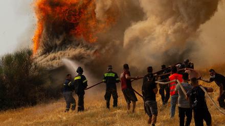 Feuerwehrleute und Freiwillige versuchen ein Feuer in Afidnes, etwa 30 Kilometer von der griechischen Hauptstadt Athen entfernt, zu löschen. 