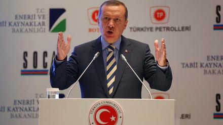 Der türkische Ministerpräsident Erdogan - ein Opfer deutscher Medien?