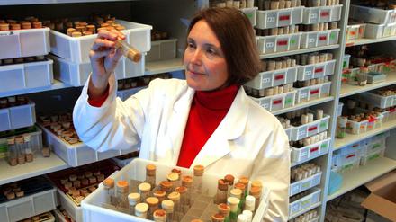 Biologin Suzanne Eaton forschte am Max Planck Institut für Molekulare Zellbiologie und Genetik in Dresden.