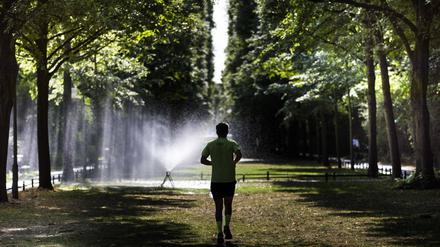 Ein Mann joggt durch den Tiergarten, in dem Anlagen zur Bewaesserung aufgebaut sind.