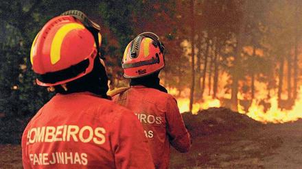 Kampf gegen die Flammen. Portugiesische Feuerwehrleute in Satao. Foto: dpa