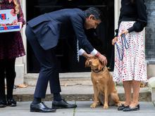 Hund lief ohne Leine: Polizei ermahnt Sunak beim Spaziergang durch London