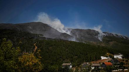 Im Nationalpark Serra da Estrela kommt es seit Tagen immer wieder zu Waldbränden.