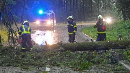 Feuerwehrleute beseitigen in Braunau in Österreich einen umgeknickten Baum.
