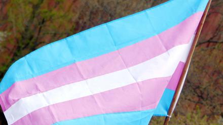 Die Transgender-Fahne. 