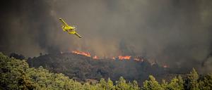 Waldbrände, wie hier auf Rhodos, werden meist durch Fahrlässigkeit oder Brandstiftung entfacht, doch Hitze und Dürre fördern die Brandgefahr.