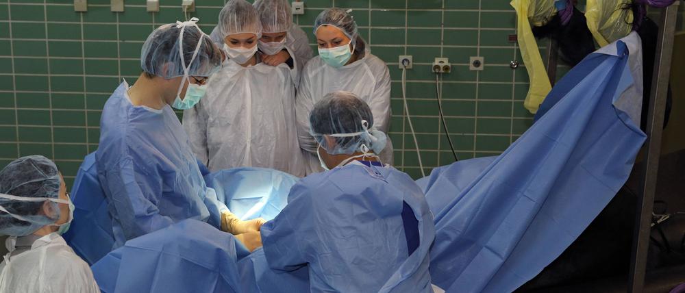 Eine Tier-OP in der Veterinärmedizin der FU. Der 24-Stunden-Notfallbetrieb in der Klein- und Heimtierklinik wurde 2022 geschlossen.