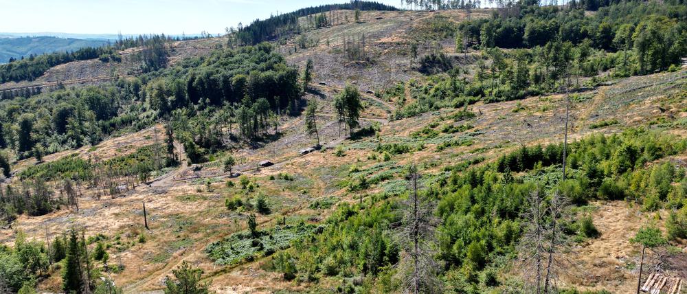 Ein traumhafter Sommertag mit sehr heissen Temperaturen im Siegerland, Traumwetter am Morgen bei Hilchenbach Gebiet Altenbergturm Sommer im Siegerland am 04.08.2022 in Hilchenbach/Deutschland. *** A beautiful summer day with very hot temperatures in the Siegerland, dream weather in the morning near Hilchenbach area Altenbergturm summer in the Siegerland on 04 08 2022 in Hilchenbach Germany