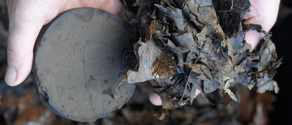 Biokohle kann auch aus Laub hergestellt werden.