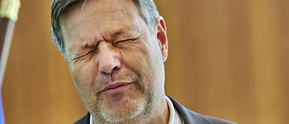 Bundeswírtschaftsminister und Vizekanzler Robert Habeck (Grüne).