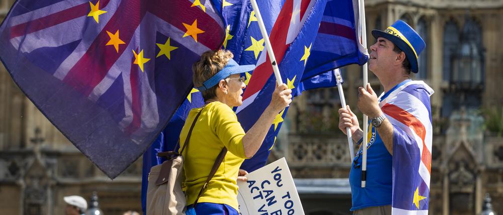 Protest gegen den EU-Austritt in London.
