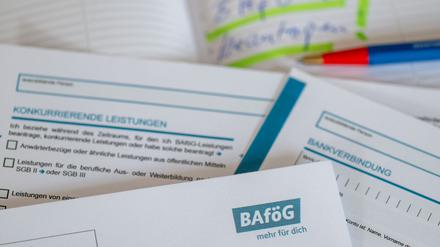 2023 erhielten 45.201 Berliner sowie 18.830 Brandenburger Schüler und Studierende Bafög.