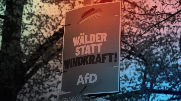 AfD-Wahlplakat zur Landtagswahl in Thüringen 2024.