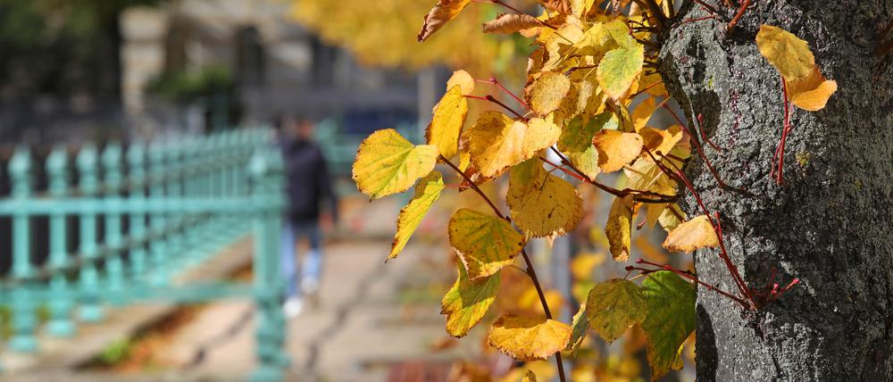 Herbstferien in Potsdam