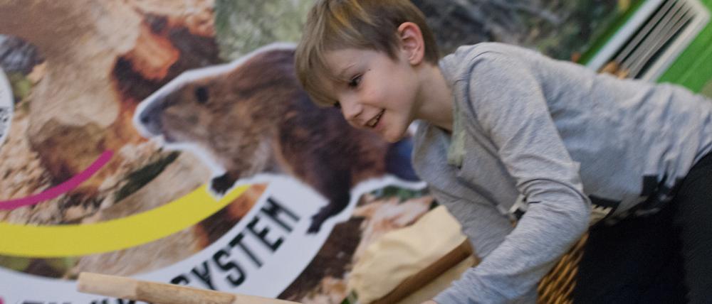 Im Labyrinth Kindermuseum in Berlin geht es um Pilze und ums Ökosystem