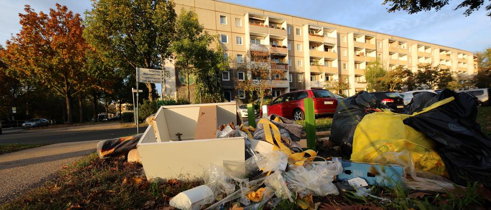 Seit Jahren klagen Anwohner über Sperrmüllberge am Wegesrand oder auf Grünflächen am Schlaatz.