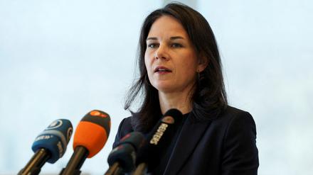 Vor Beginn der Weltklimakonferenz in Aserbaidschan hat Außenministerin Annalena Baerbock auf die folgenschweren Risiken der Erderhitzung hingewiesen.