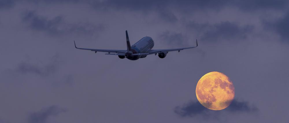 Privatpersonen werden Emissionsgutschriften etwa für Flugreisen angeboten.