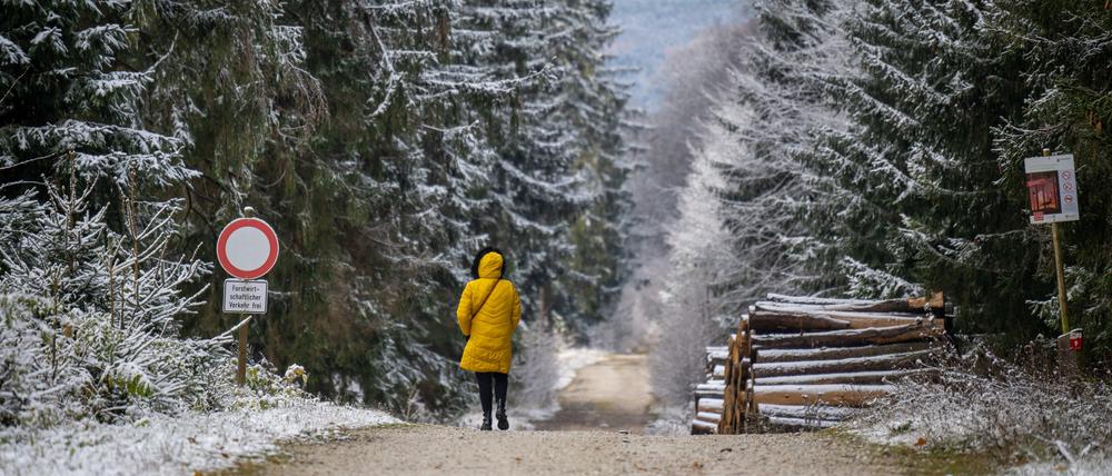 Eine Frau geht auf dem Erbeskopf im Hunsrück spazieren.
