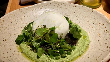 Burrata mit Mole verde im Restaurant „Comedor“ in Charlottenburg
