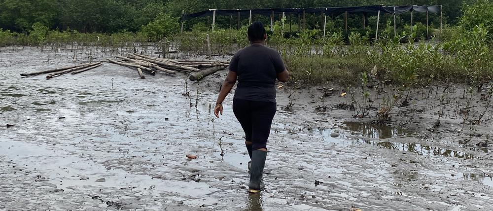 Pamela Quiñonez setzt sich für den Schutz ihrer Heimat ein.