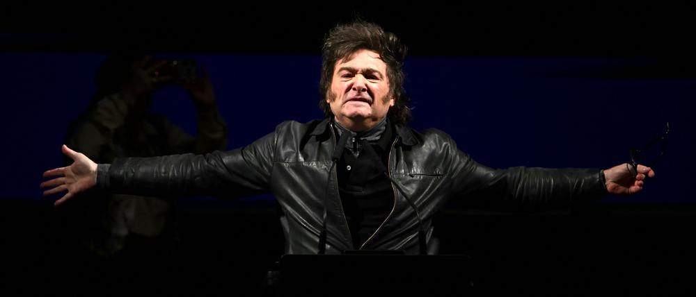 Seit einem Jahr im Amt: der argentinische Präsident Javier Milei.