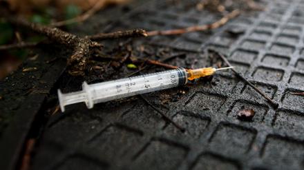 Eine benutzte Spritze liegt im Gebüsch in Kreuzberg.