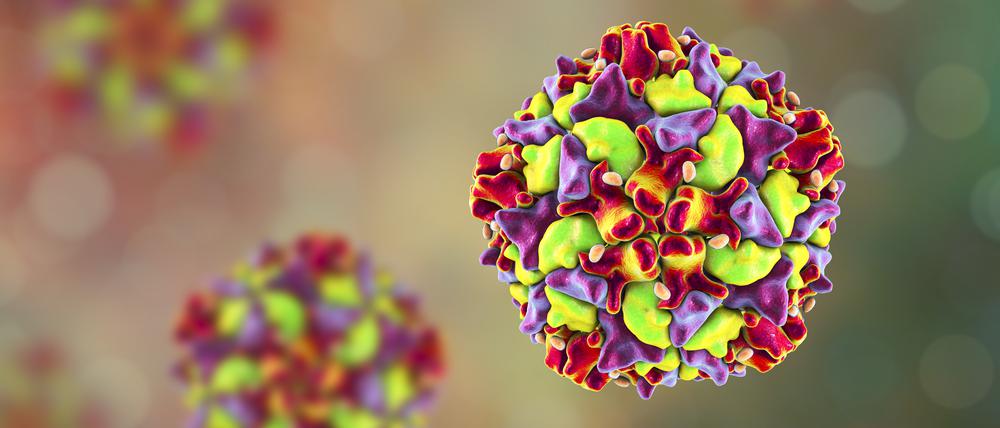 Das Poliovirus in einer computergenerierten Illustration.