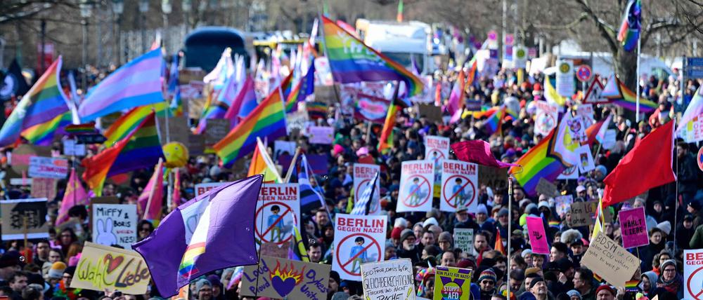 Tausende kamen zum Winter-CSD nach Berlin.