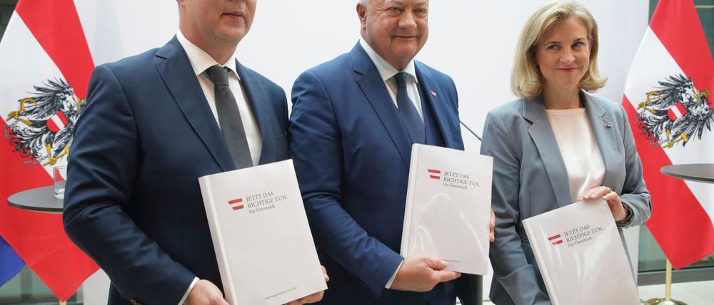 Die neue Dreier-Koalition in Österreich hat ein 200-seitiges Arbeitsprogramm vorgelegt.