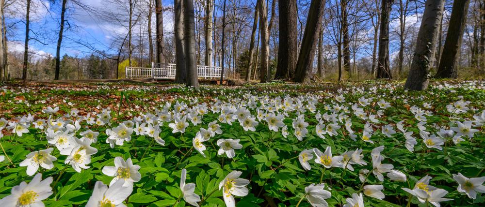 Das Wochenendwetter ist überwiegend heiter und trocken. (Symbolbild)