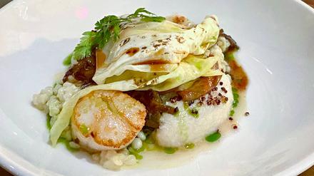 Gebratene Jakobsmuscheln mit Kohl, Pilzen, gerösteter Senfsaat und Perlcouscous in leichtem Gemüsesud mit Kräuteröl.