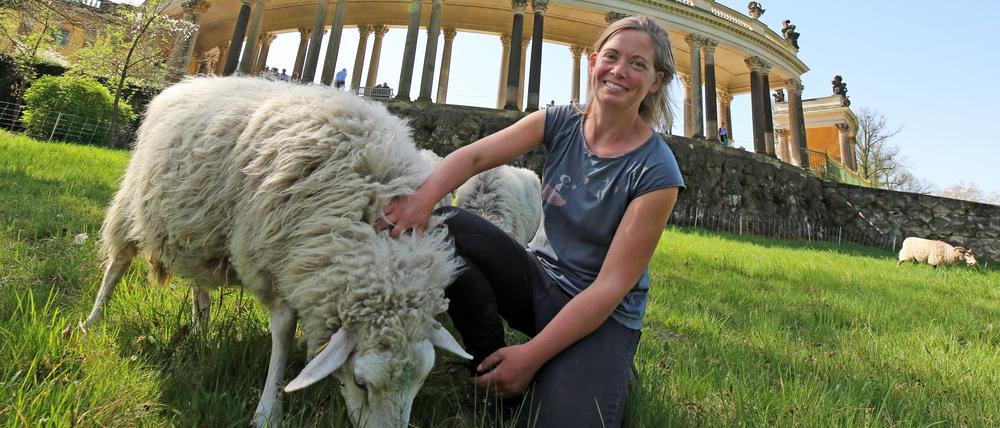 Hannah Becker ist die Schäferin vom Park Sanssouci. Seit vier Jahren mähen die Schafe den Welterbe-Park.