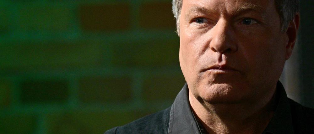 Nach Angaben von Grünen-Fraktionschefin Britta Haßelmann soll Robert Habeck für seine Fraktion im Auswärtigen Ausschuss sitzen. (Archivbild)