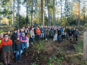 HARMELINGEN, 24.10.2024, Mondelez Volunteering in der Lüneburger Heide, Artenglück Baumpflanzaktion in Zusammenarbeit mit VNP Stiftung Naturschutzpark Lüneburger Heide © Joerg Sarbach