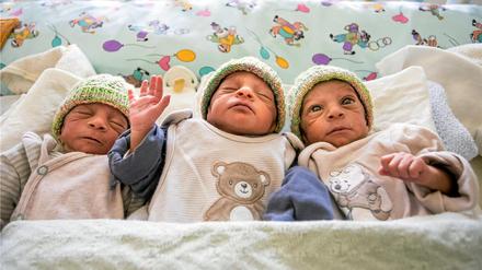 Drillinge in Winnenden: Leon, Luka und Levi (von links)