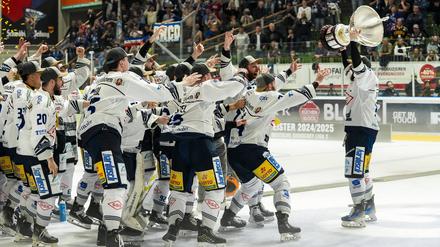 Seit dem Aufstieg in die DEL ist die Euphorie groß bei den Dresdner Eislöwen.