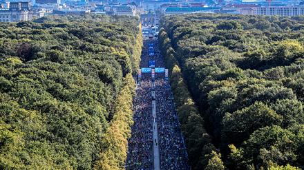Beim Berlin-Marathon laufen von Jahr zu Jahr mehr Menschen mit.